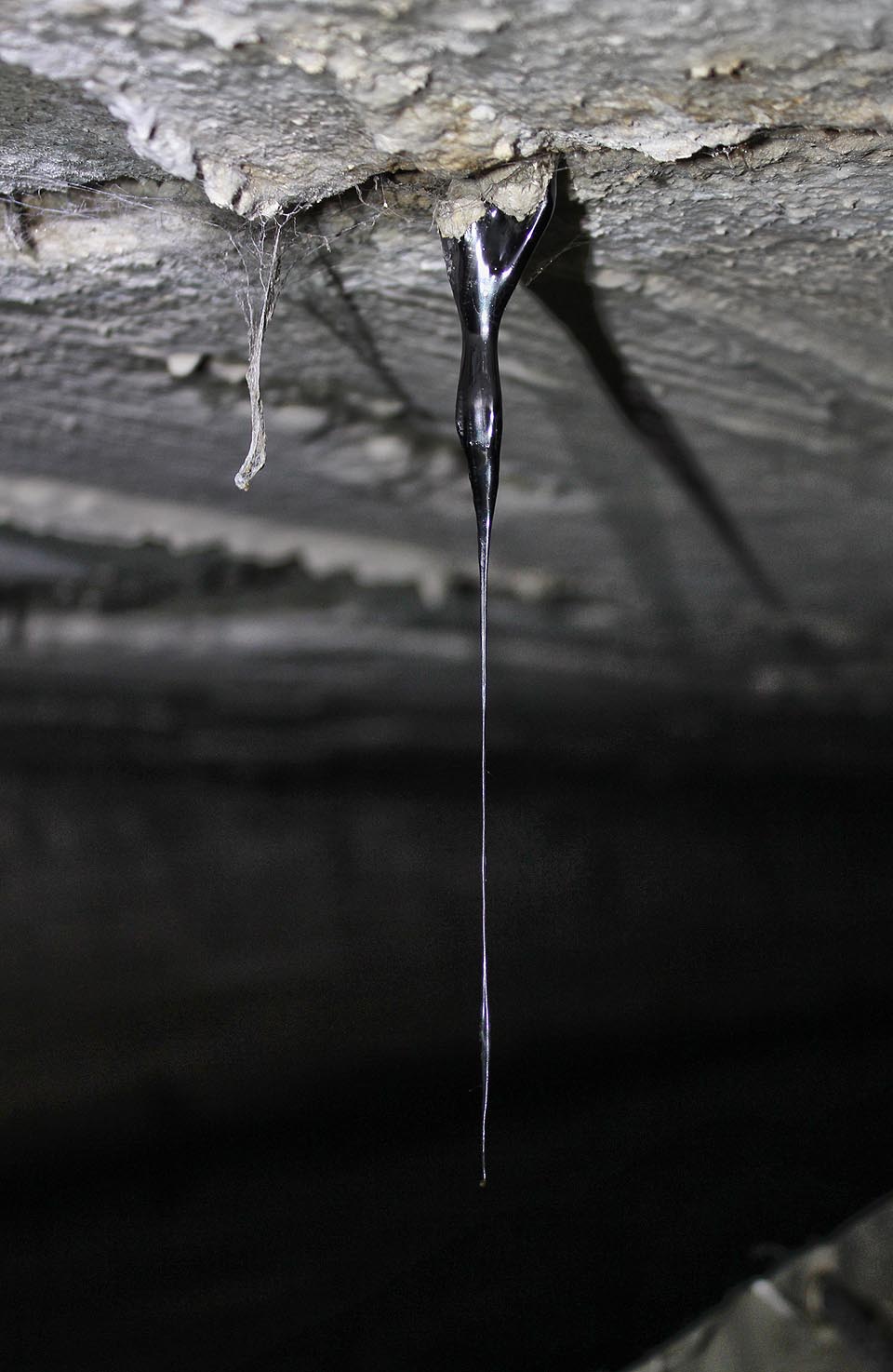 Ze stropu kane černá kapalina. Je to dehet, mazut z teplárny nebo zčernalá krev dělníků z Dolního Cejlu?