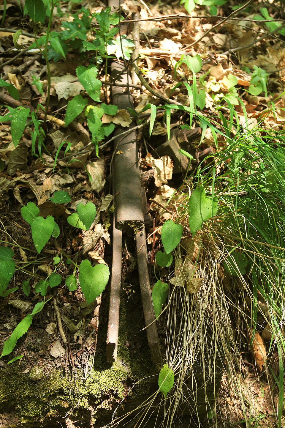 Těžko soudit, zda byla kolejnice ze spojnic vymontována, nebo se postupně utrhla vlastní vahou. Obě možnosti jsou v náročném terénu přípustné.