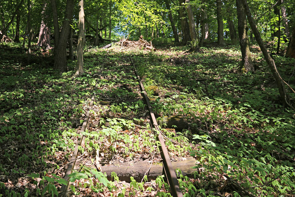 V zimě jsou koleje takřka neviditelné pod sněhem, na jaře a na podzim pod listím a v létě přes mozaiku světel a stínů mezi stromy.