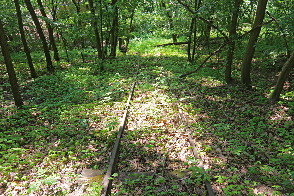 V horní části vypadá svážnice skoro jako romantická trať v člověkem nedotčené přírodě.