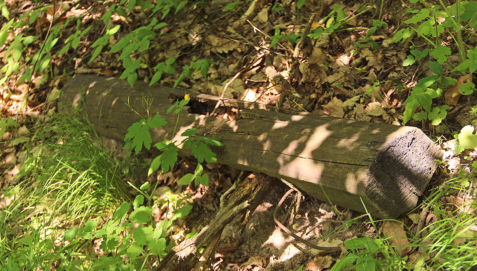 Pod strání lze najít pozůstatky zřícené části dráhy. Prohnilé pražce…