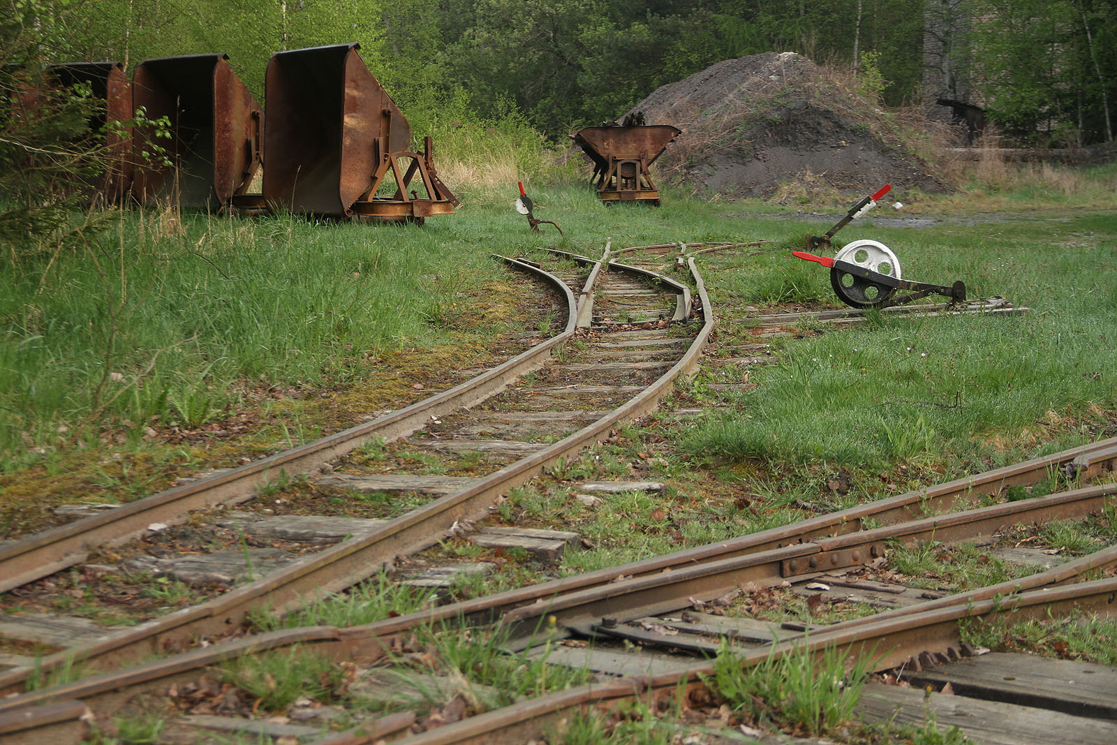 Těžiště vozového parku drážky tvoří důlní nákladní vozy dobře známé z Rychlonožkova snu o ševci.