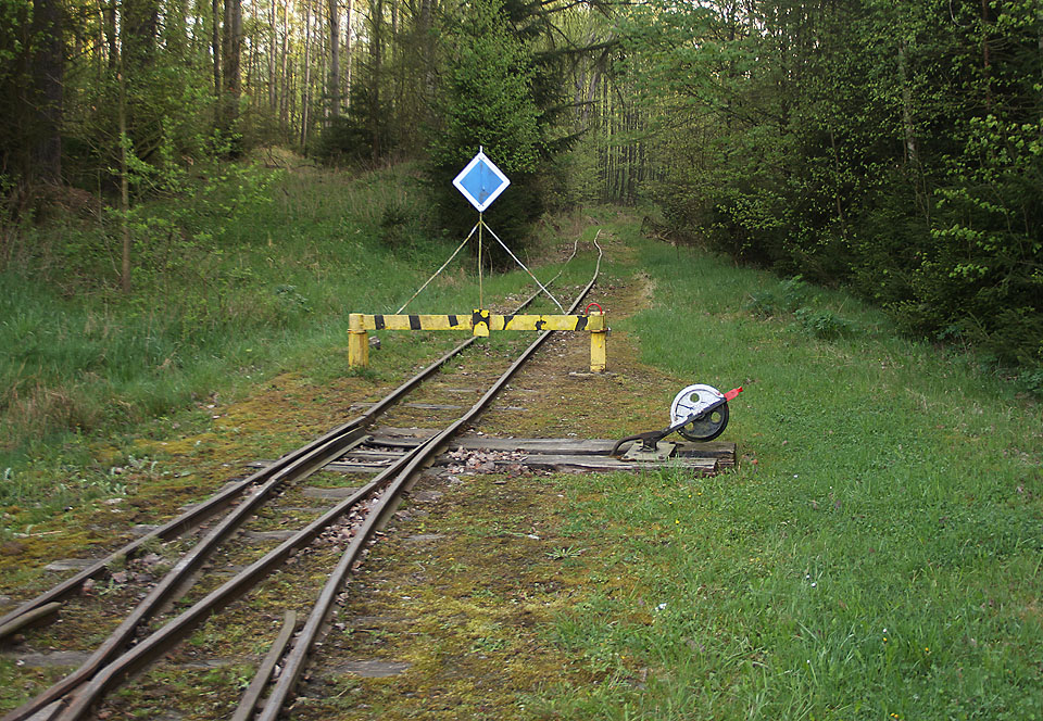 Z Kateřiny vybíhaly další větve dráhy do <a href="/Tema/Vonšov (nákl a žzast)">Vonšova</a> a dále až za <a href="/Tema/Velký Luh (žst)">Velký Luh</a>, k lomu Suchá jáma a kaolinovým dolům Nová Ves na sever a Pastviny na jihovýchod od stanice.