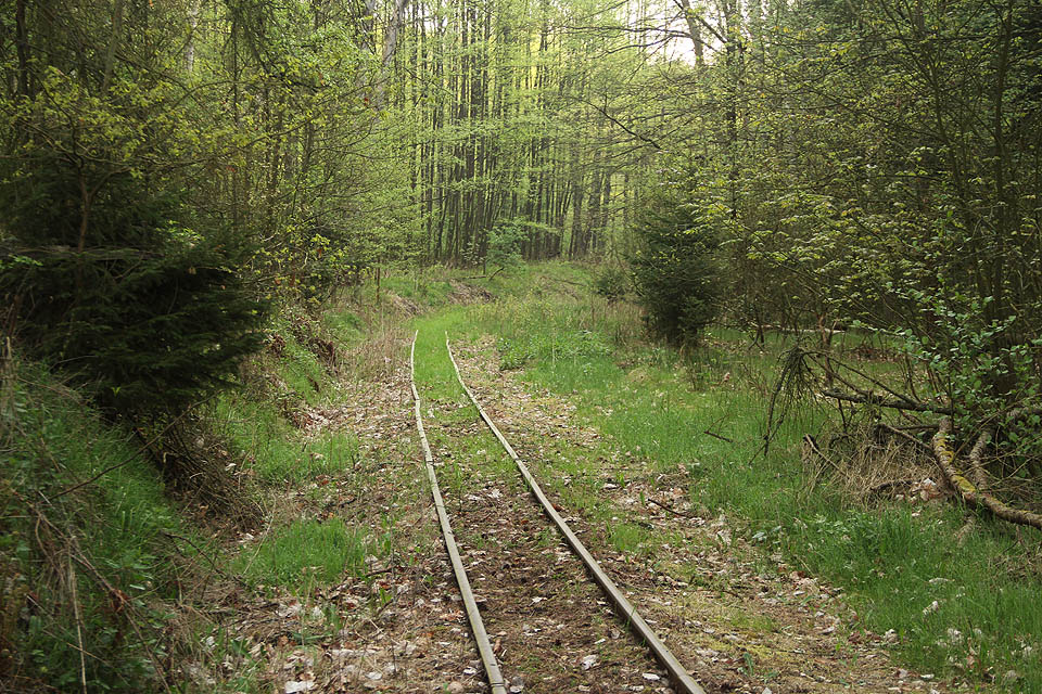 Část trati k Suché jámě je ještě v provozu, ale její další osud je nejasný. V hlubokých lesích se koleje daří udržet, na pláni však už roky postupně mizí jako by je odvával vítr…