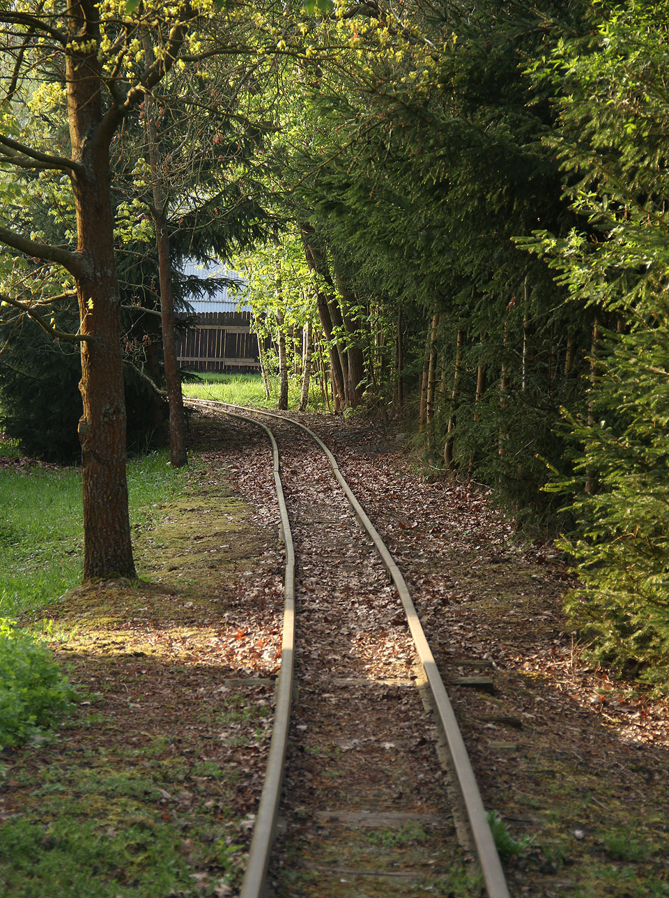 Průjezdný profil je na úzké trati na první pohled menší než na „velké“ dráze. Tady by přeprava standardních železničních vozů na podvalnících nefungovala.