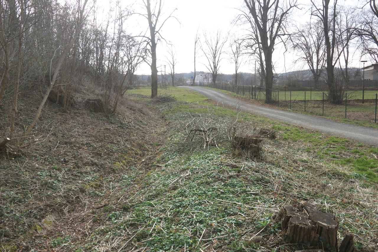 Cyklostezka podél Bobravy před napojením na Družstevní ulici v želešicích.