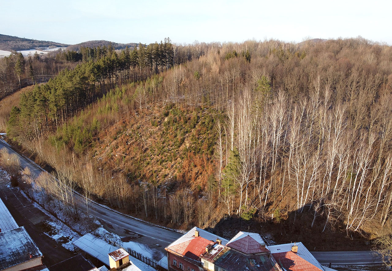 Na první pohled není trať přes paseku na snímku patrná. Dobře je ale vidět zlom sklonu svahu při horním okraji paseky, odkud železnička pokračovala ke skládce dřeva již prakticky „po rovině“.