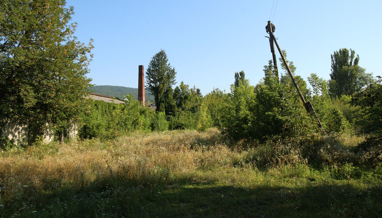 Pohled na zarůstající kolejovou pláň stanice Великий Бичків již bez kolejí. V posledním období před likvidací kolejiště tu byly tři koleje rozchodu 1524 mm.