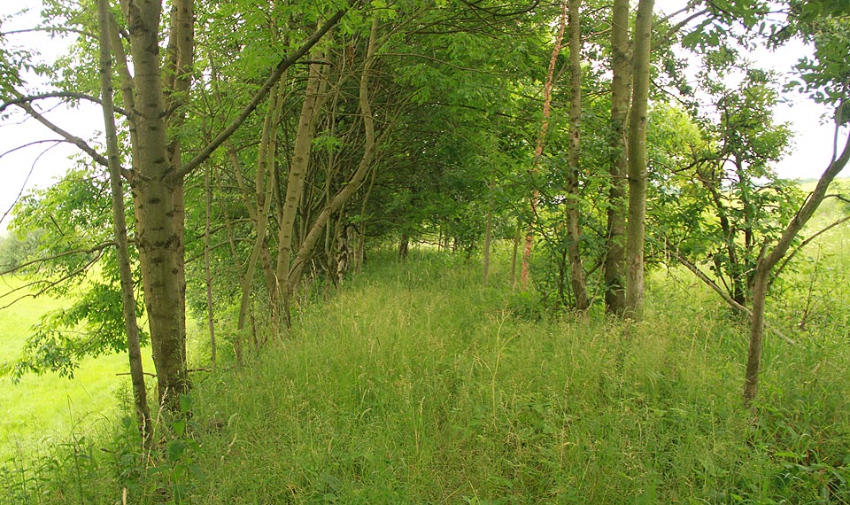 Těleso dráhy je dobře rozpoznatelné, pozůstatky kolejí bychom tu ale hledali marně. V roce 2017 nabízí majitel někdejší dráhy společnost Zubrnická museální železnice pozemky k prodeji.