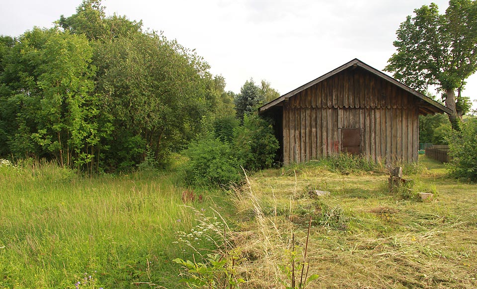 Tam, kde kdysi jezdily vlaky se dřevem, uhlím, průmyslovým zbožím i cestujícícmi, však pomalu raší les.