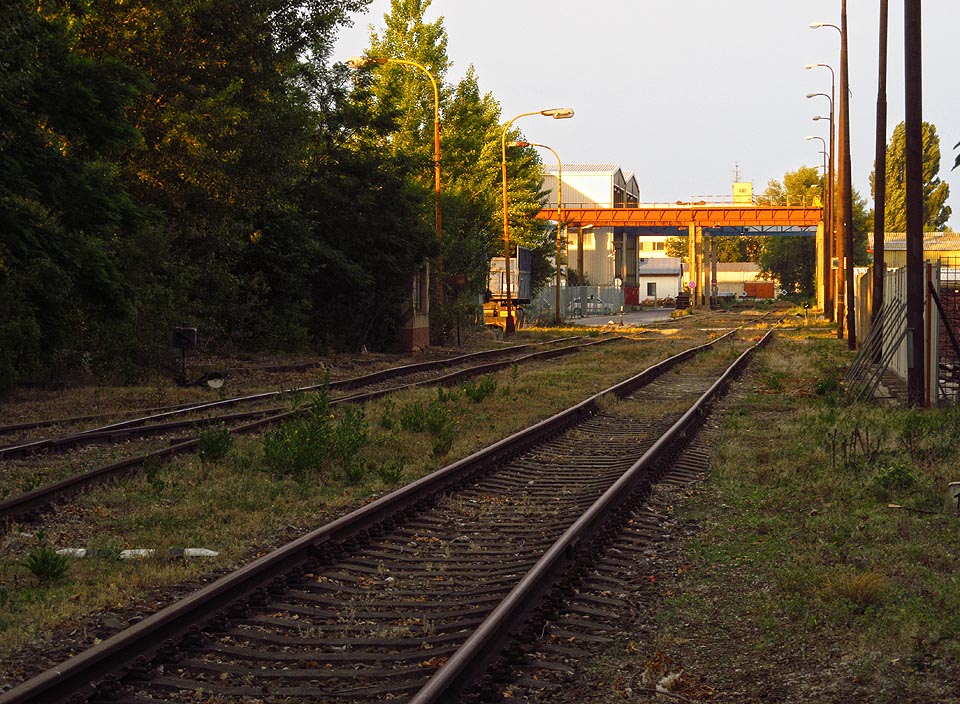 Celkový pohled (k východu) na zvlněné kolejiště vlečky uvnitř areálu.