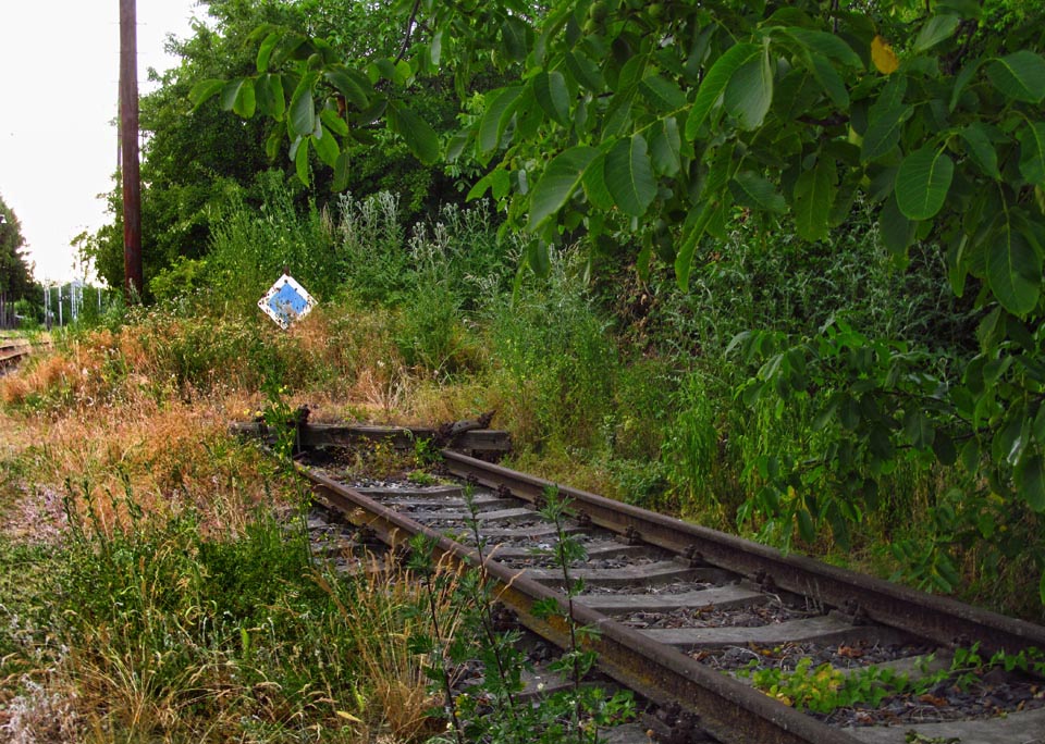 Ospalá odvratná kolej končí pod stínuplým ořešákem.