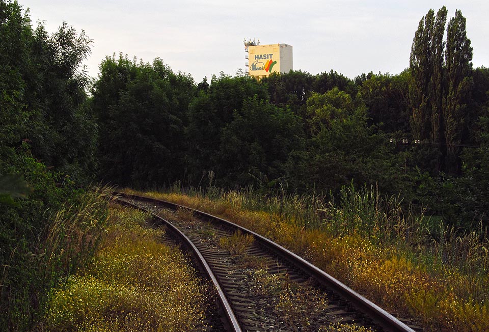 Přes bujný porost okolo vlečky vykukují vrcholky budovy průmyslového areálu. Zdá se však, jako by kolej vedla jinam…