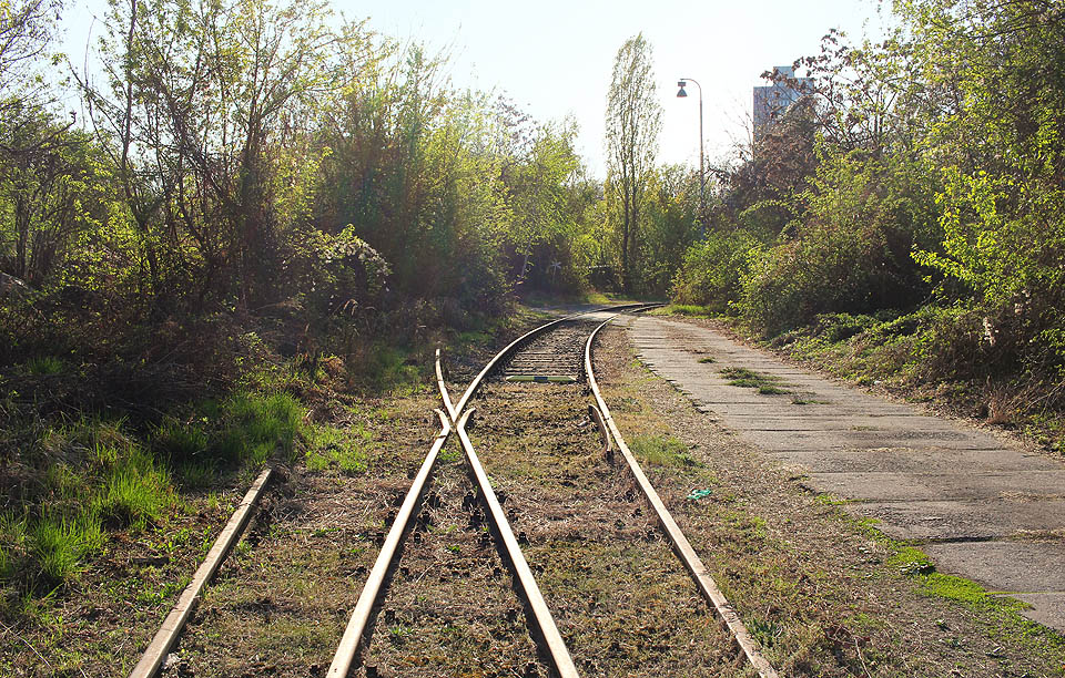 Z koleje vlečky odbočuje dalších deset odstavných kolejí, které jsou dnes vesměs pohlceny vegetací.