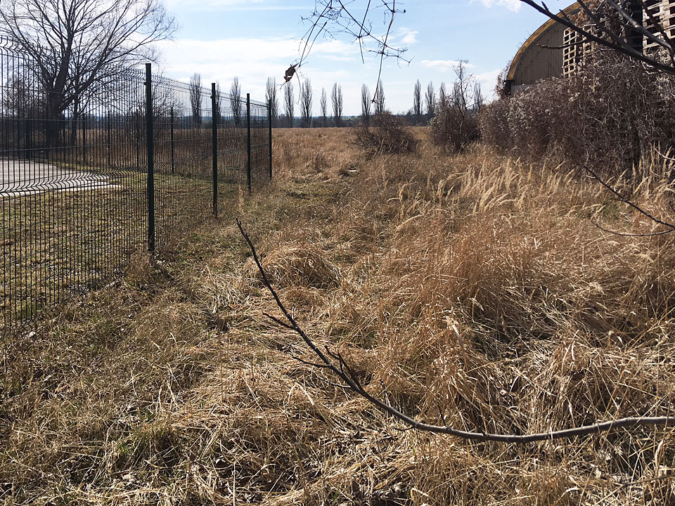 Pohled od cukrovarské ulice k západu. Současná pláň se nachází na místě, kterým procházela kolej vlečky mezi provozními budovami cukrovaru.