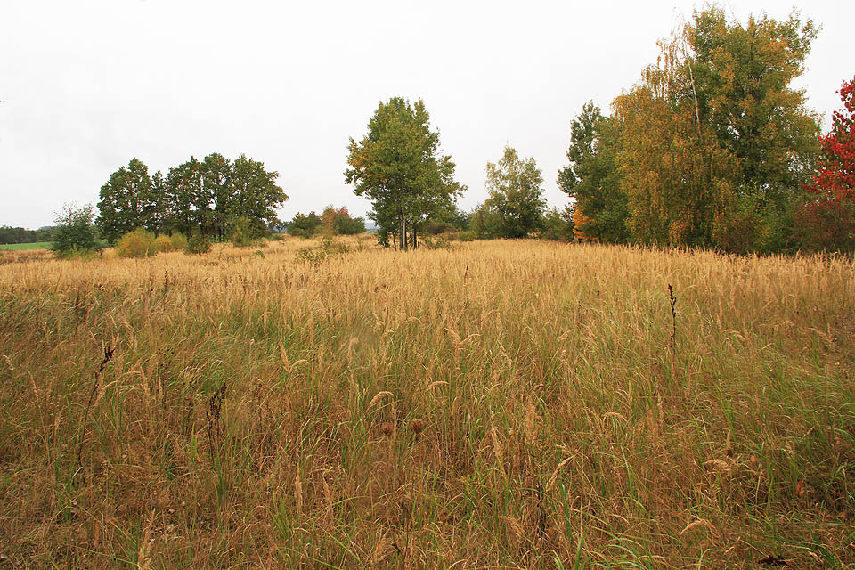 Dnešní podoba kdysi záhadného areálu je ovšem nicneříkající. Ploty, koleje i budovy zmizely a na místě roste jen křoví a tráva.
