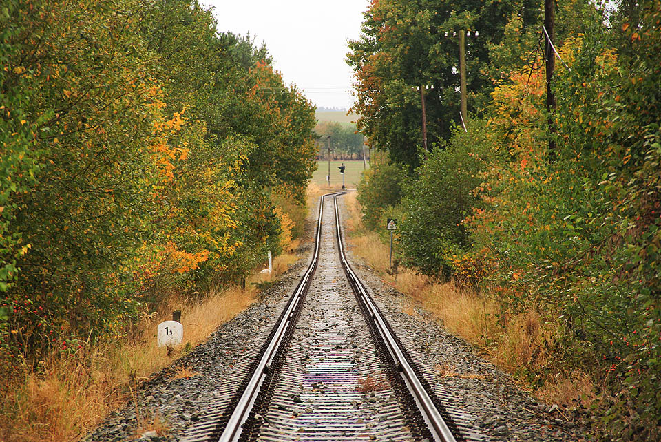 Do km 2,0 vlečka klesá k mostu přes Okarecký potok. Na dlouhém rovném úseku kdysi stávala nikdy nezprovozněná zastávka Vícenice.