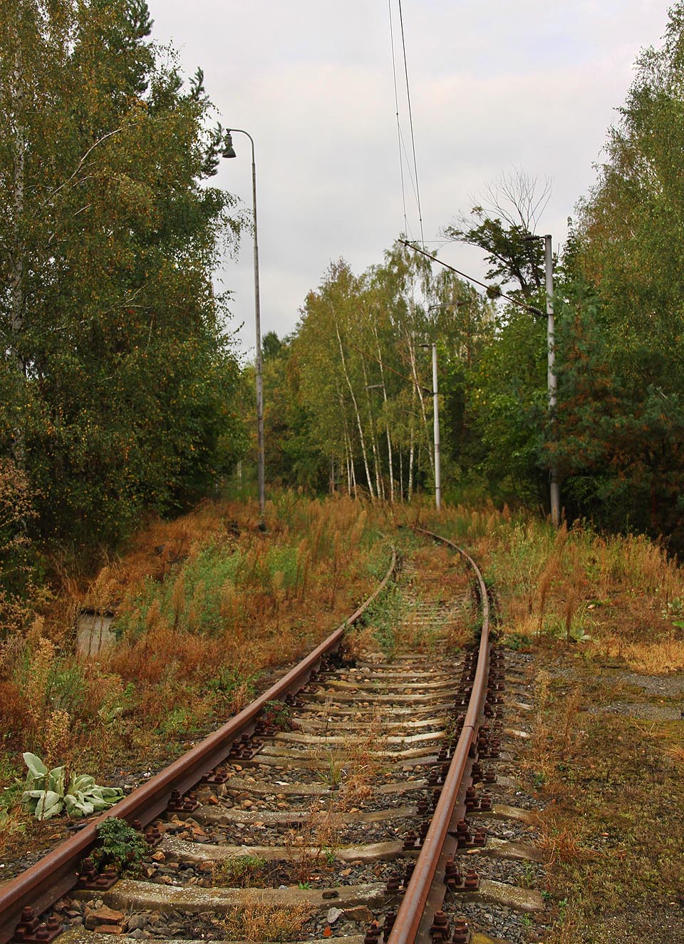 Roku 2010 bylo léta zarostlé kolejiště vyklučeno, aby mohlo o tři roky později opět upadnout v zapomnění.