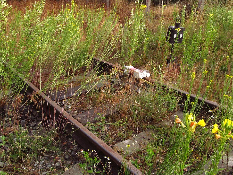 Sepětí techniky s přírodou je tu téměř dokonalé.