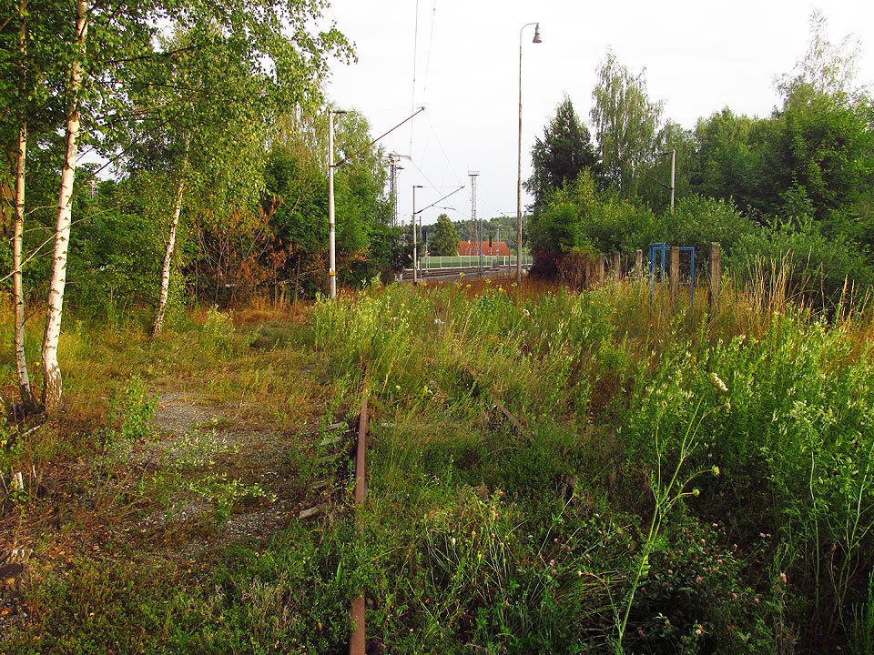 Pohled zpět od výkolejky ke stanici vede houstnoucím křovím.