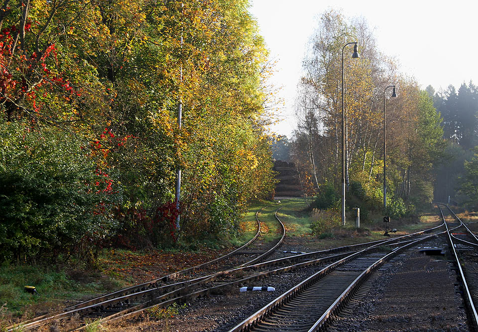 Vlečka na pilu Dřevozpracujícího družstva Lukavec v jemném oparu říjnového rána.