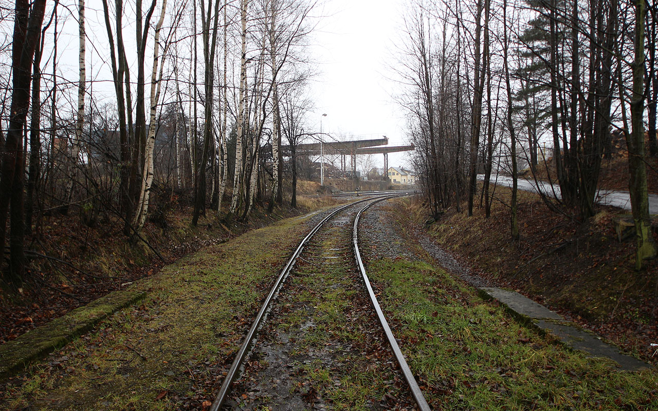 Pozvolným obloukem prochází vlečka skrze březový hájek podrostlý mechem. Pozvolným obloukem prochází vlečka skrze březový hájek podrostlý mechem.