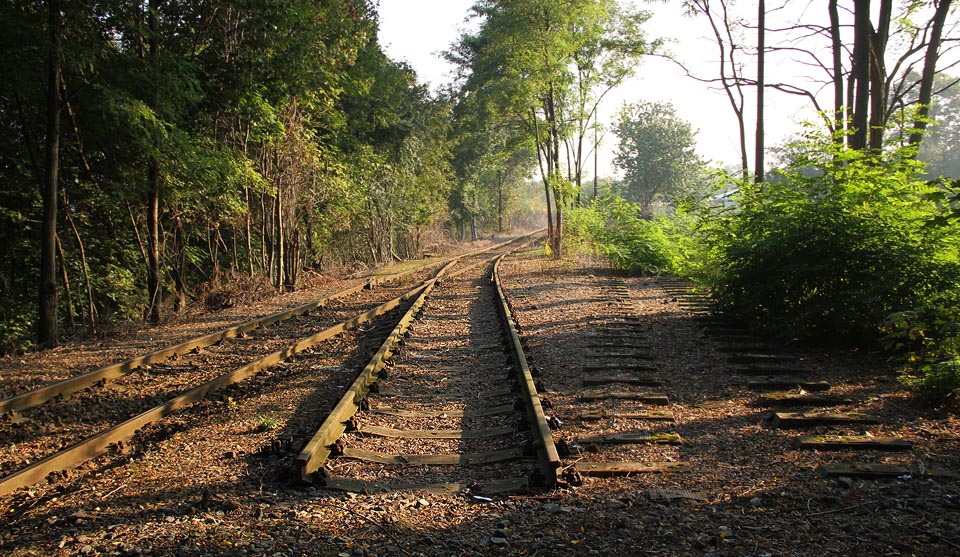 Pohled k severovýchodu, z posledních metrů zrušené vlečky. Podle krajiny typu australské buše by málokdo poznal, že stojíme uprostřed <a href=/Tema/Praha>Prahy</a>.