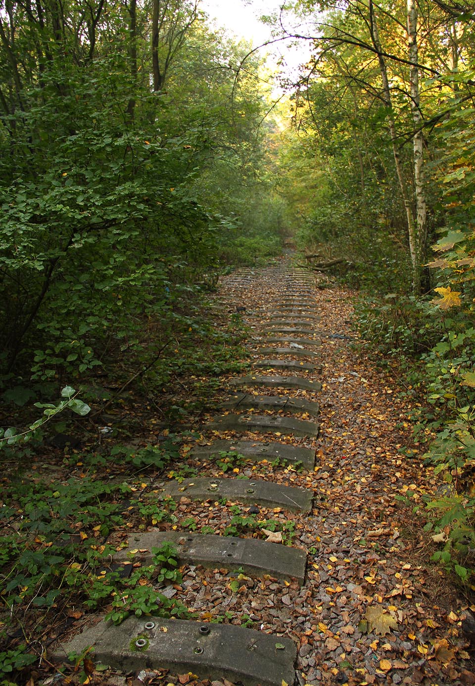 Ani z tohoto úseku není patrné, že se nenacházíme v divočině, ale uprostřed hlavního města.