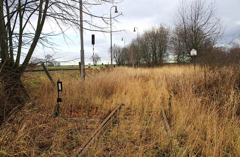 S obtížemi lze vyhledat pod stepními travinami jedinou přeživší výhybku vlečky. S obtížemi lze vyhledat pod stepními travinami jedinou přeživší výhybku vlečky.