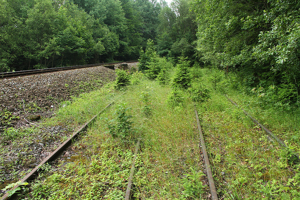 Dvě jihovýchodní koleje sloužily převážně manipulačním účelům. Za nimi už se rozkládá pouze bujný les.