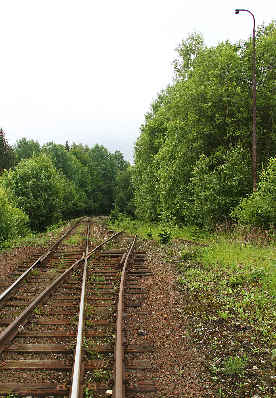 Vlečka do mramorového lomu v roce 2015 nedlouho před svým definitivním zrušením.
