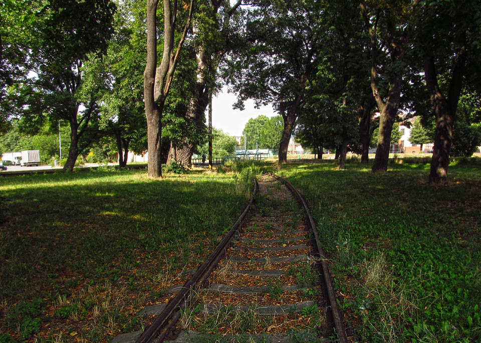Pohled zpět do parku, kterým prochází vlečka do bývalé Mosilany mezi stromy, levičkami a pomníkem dělnických setkání.