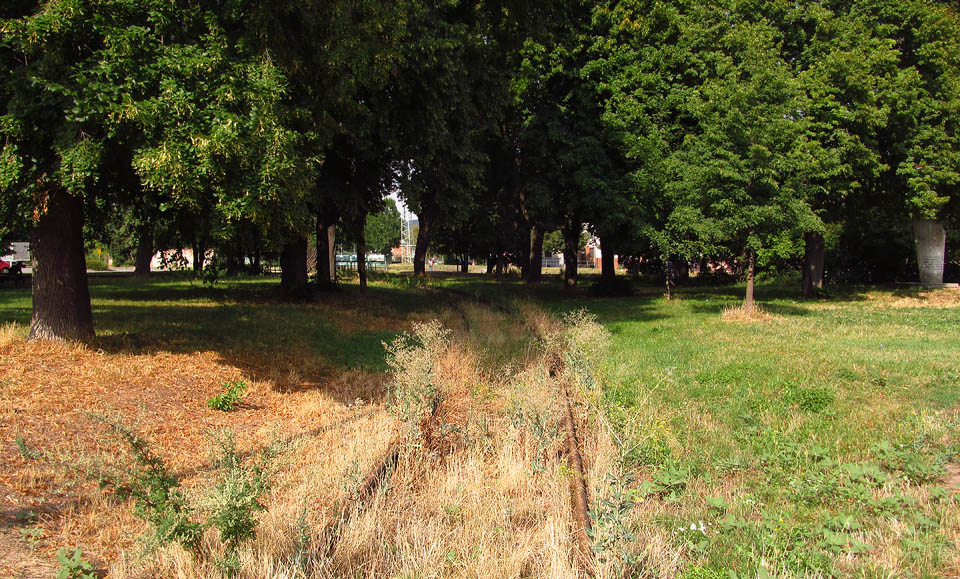 Přestože je park udržovaný, zarůstají koleje několikrát do roka zelení. Vlaky zde dojezdily už před léty, koleje jsou ale ozdobou industriální čtvrti na břehu <a href=/Tema/Svitava>Svitavy</a>.