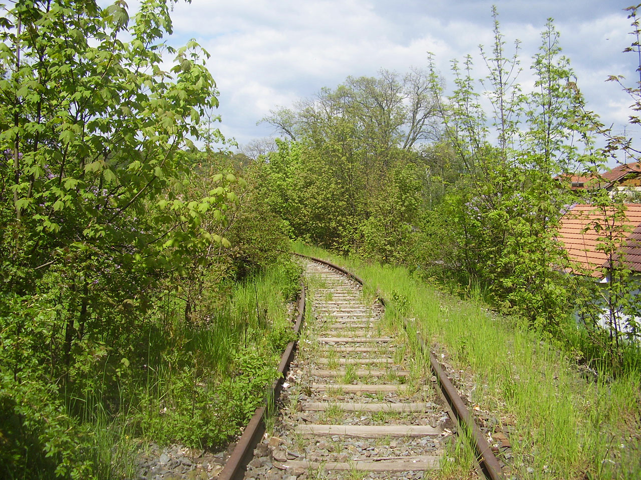 Pohled zpět ke <a href="/Tema/Zastávka u Brna (žst)">stanici Zastávka u Brna</a>. Romanticky zarůstajícím kolejím už zbývá jen pár měsíců života, od roku 2009 započne ve stejné trase budování <a href="/Tema/Zbýšovská úzkorozchodná dráha">úzkokolejky o rozchodu 600 mm</a>.