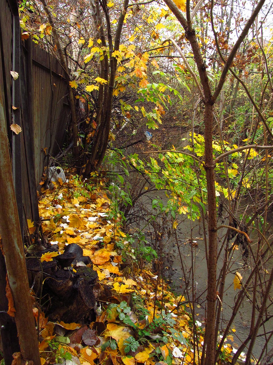 Cesta po břehu záhy končí, bude nutné to tady <a href=/Tema/Tunel%20Pon%C3%A1vky%20za%20Rumi%C5%A1t%C4%9Bm>prozkoumat na lodi</a>.