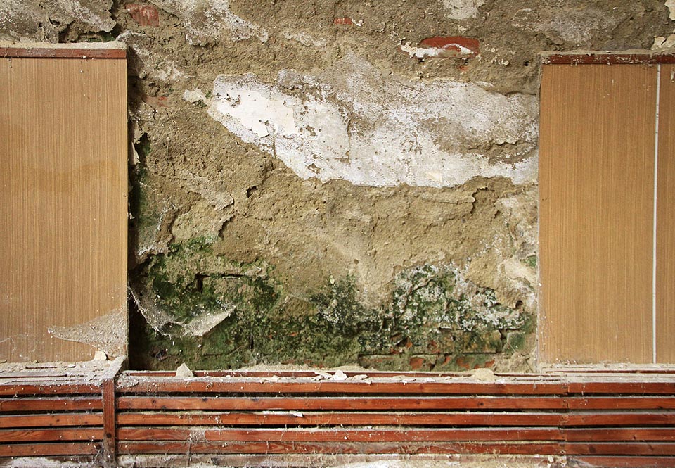 Elegantní řasy a plísně malují obrazy na místě, kde kdysi stávala školní tabule.