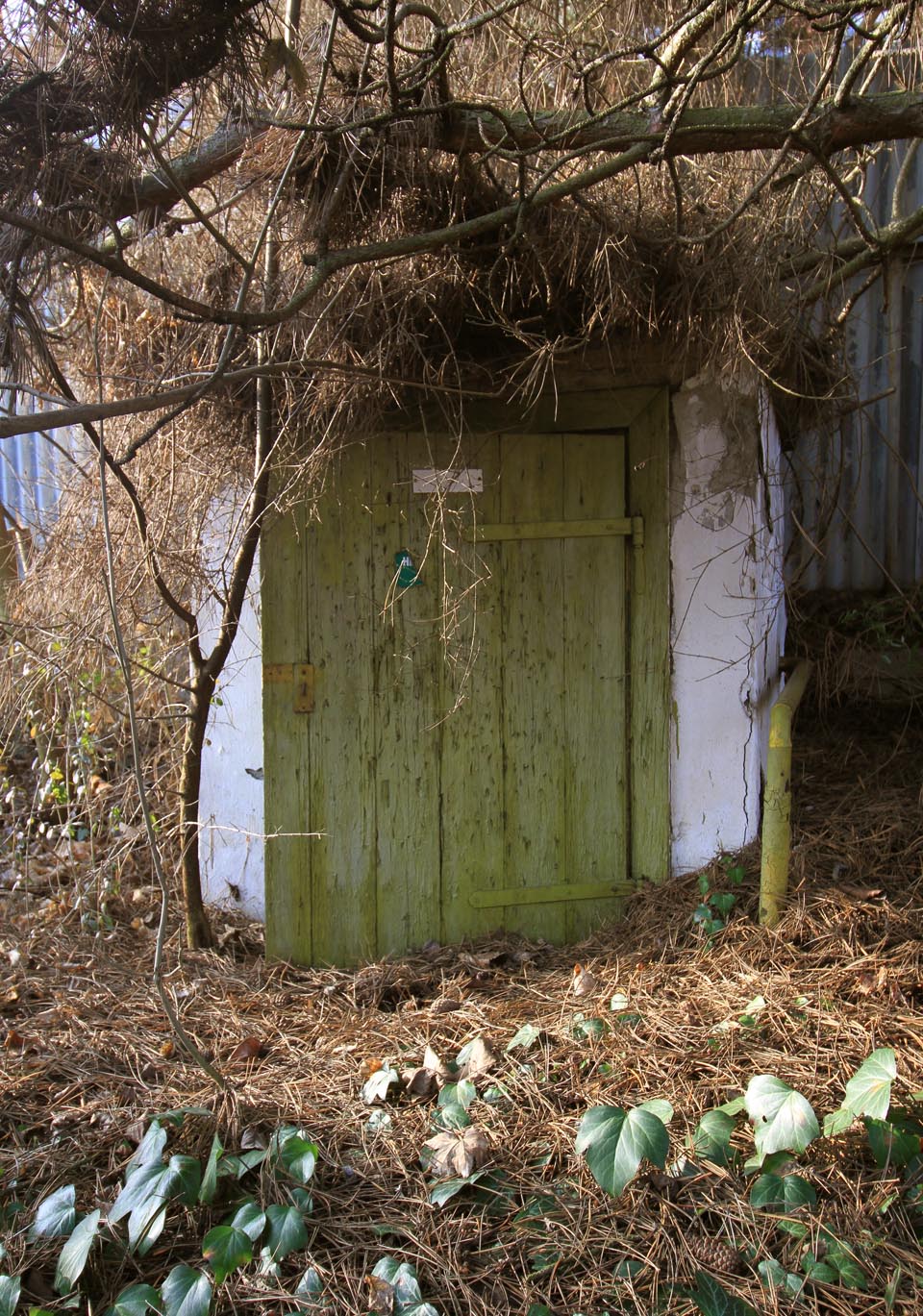 V nenápadném chlívku pod korunami rozložitých borovbic se ukrývá druhá plynová kotelna.