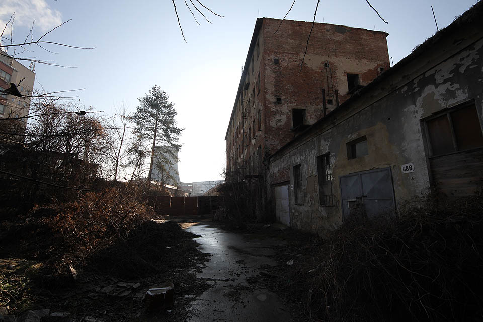 Z opačné strany, za budovou Cejl 14, se rozkládá několik více či méně pralesních dvorů a dvorků navzájem oddělených vysokými zdmi a roky uzamčenými vraty. Jižněji se pak nachází psí chovná stanice, což dohromady nečiní z oblasti vhodné místo k návštěvě.