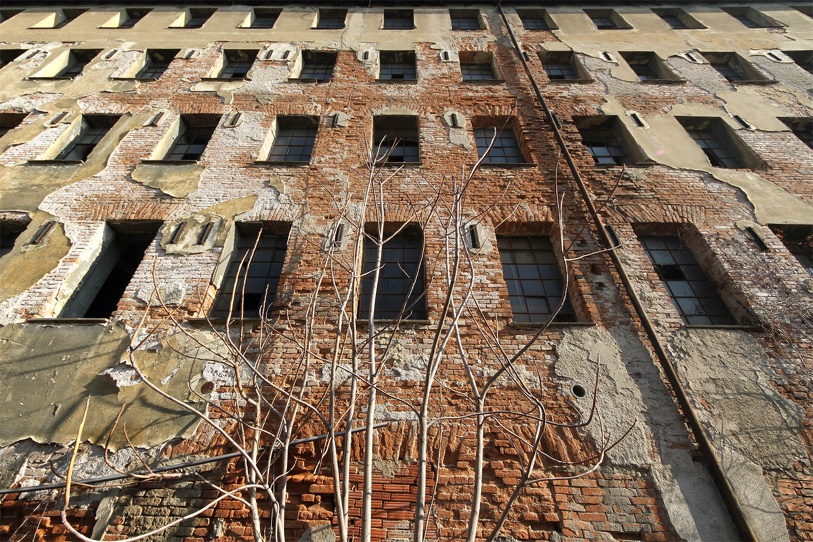 Přesto, že olysalá fasáda mykárny je zvráceným způsobem nádherná, je na čase nahlédnout i na její vnitřní stranu.