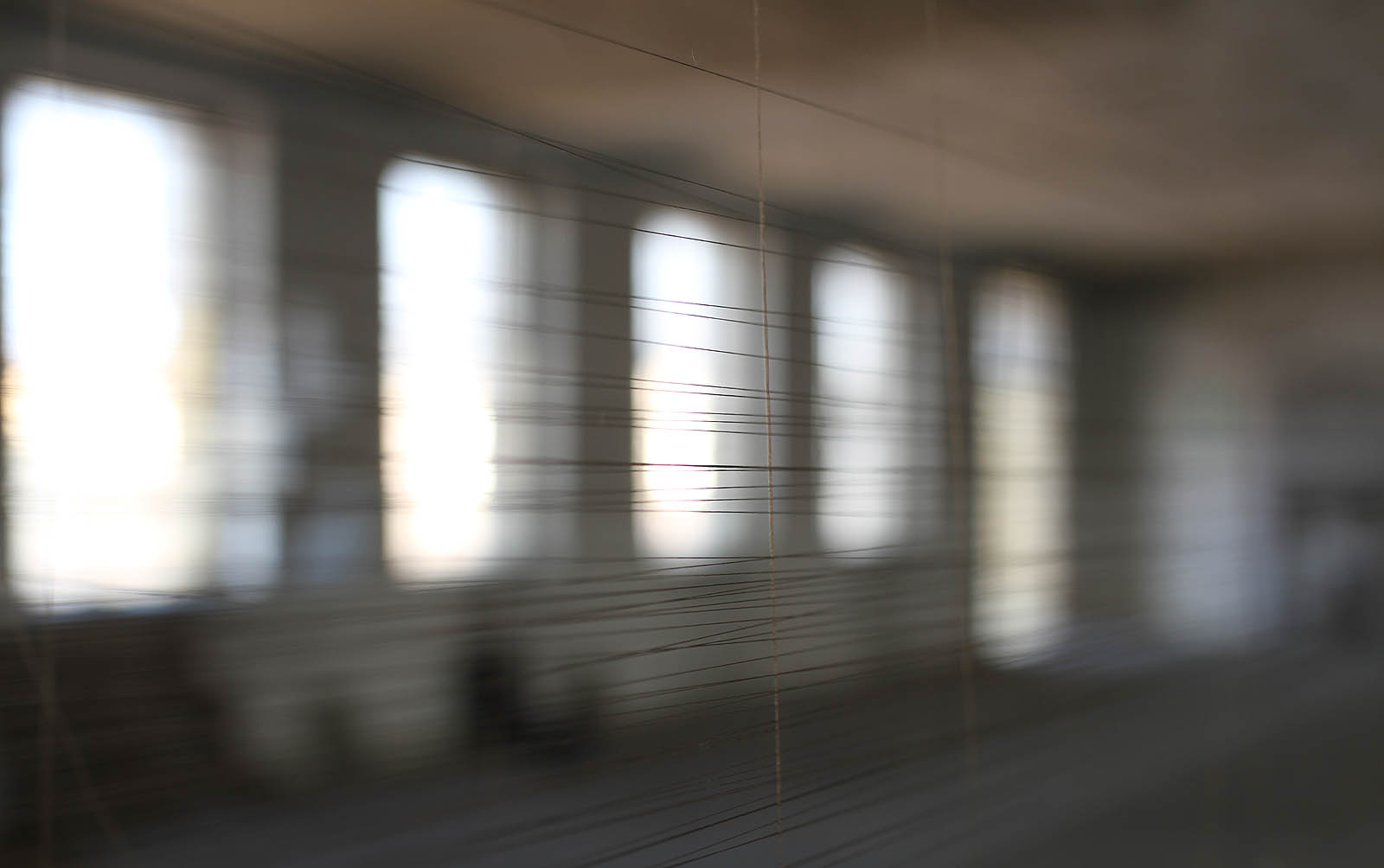 Mezitím síť z jemných vláken utěšeně houstne.