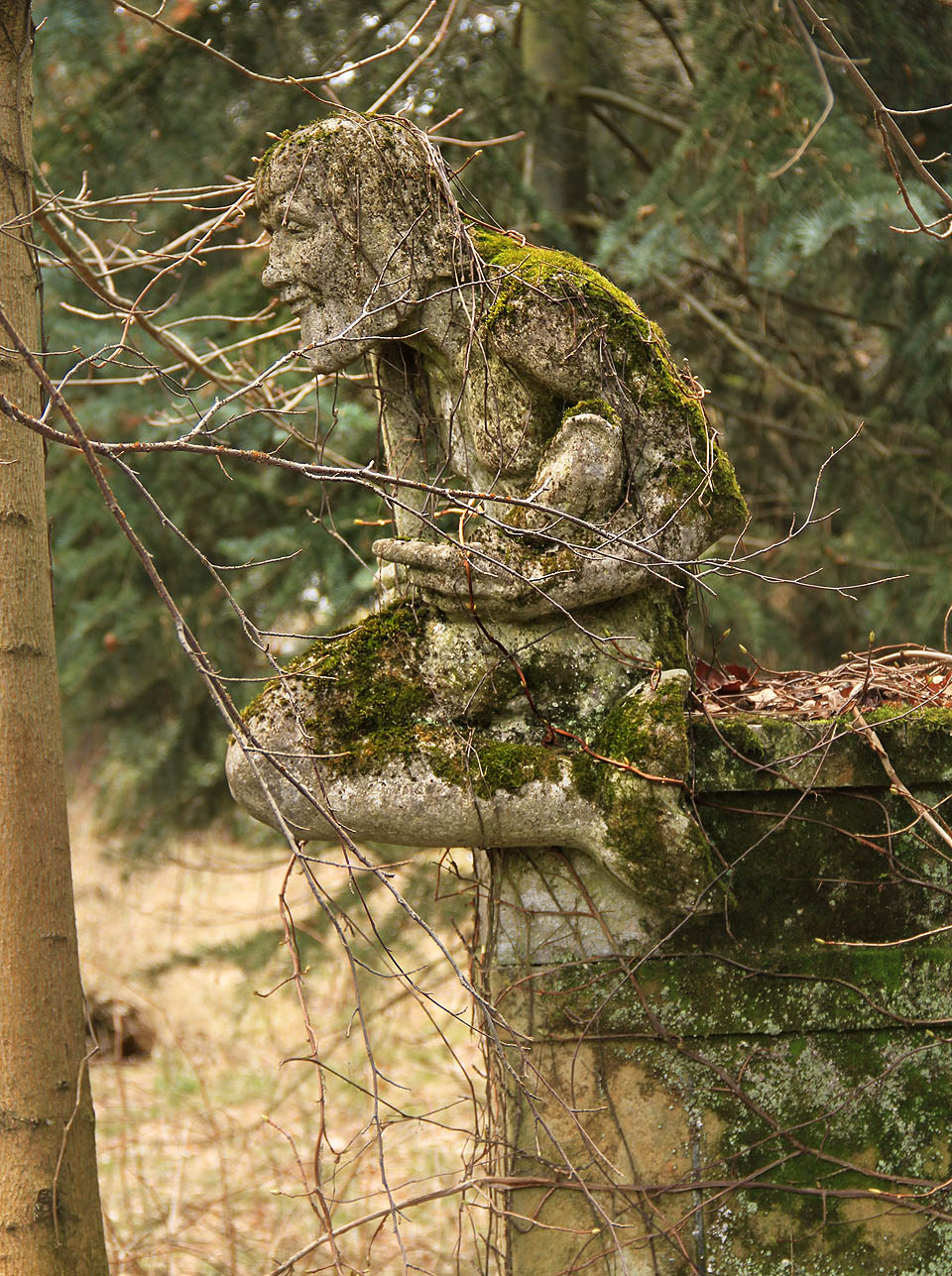 Cestu stráží podivný mužík s trojzubcem a dvěma rybími ocasy. Jako by vypadl z divokého heraldického snu po požití kouzelných bylinek z opuštěné zahrady.