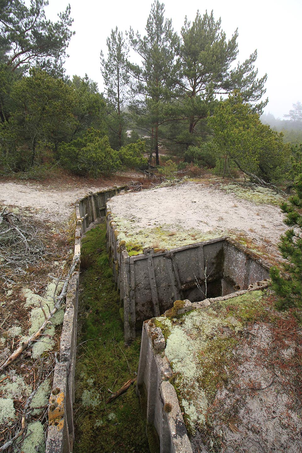 Celková délka zákopů je přes 14 km po obou stranách hřbítku táhnoucího se poloostrovem.