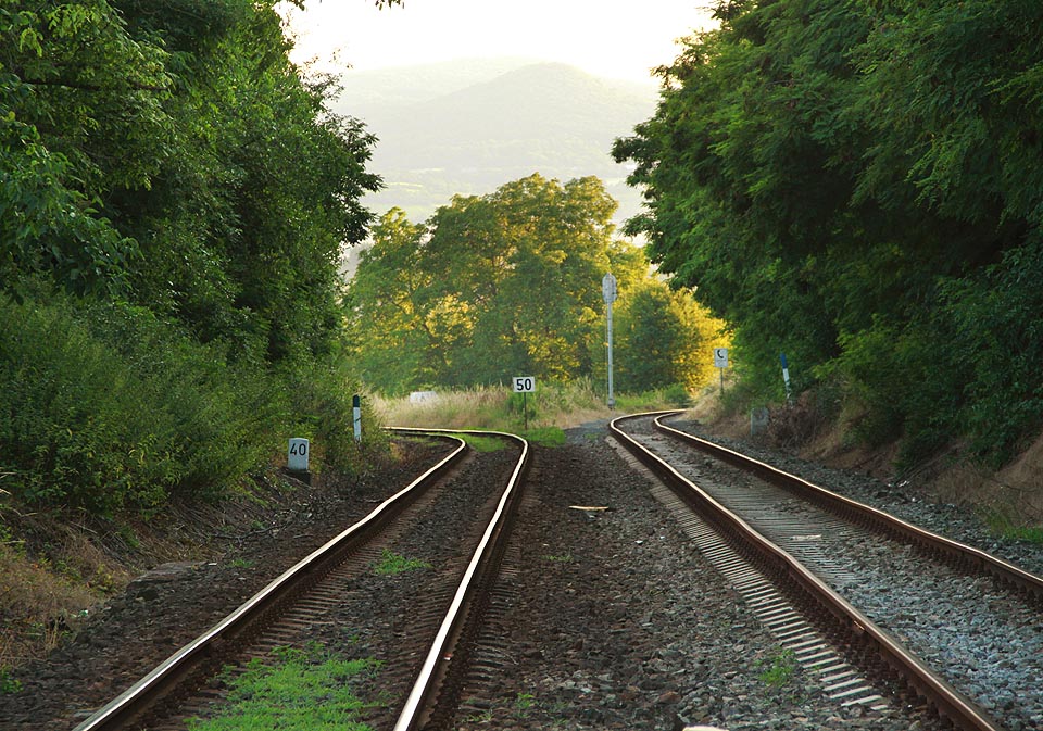 Vzářezu dráhy za stanicí Žalhostice je vidět vlevo trať do <a href=/Tema/Lovosice%20z%C3%A1vod%20(%C5%BEzast)>Lovosic</a>, vpravo spojka do stanice <a href=/Tema/Velk%C3%A9%20%C5%BDernoseky%20(%C5%BEst)>Velké Žernoseky</a>, která není pro osobní dopravy využívána (a chybí i v mapce jízdního řádu). Koleje se rozplétají a klesají k Labi, jako by chtěly objet z obou stran horu Ovčín (431 m) v pozadí.