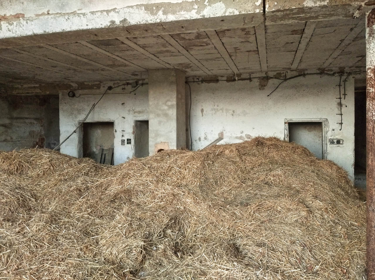 Sena je tu i pět let po krachu firmy dost. Ale zvířatům by už asi moc nechutnalo.