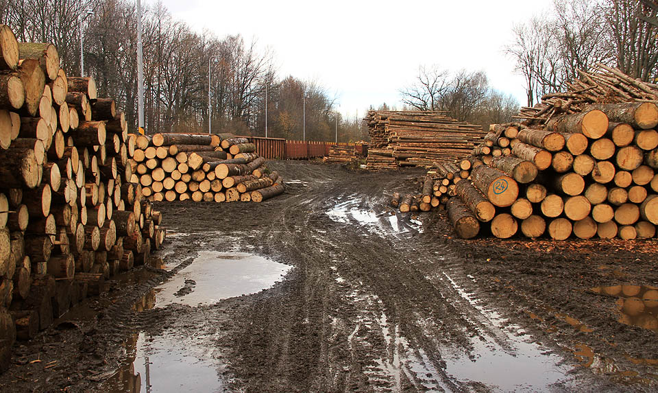 Hlavní přepravovanou komoditou ze Zlatých Hor je dřevo. V opačném směru vedou živí lidé.